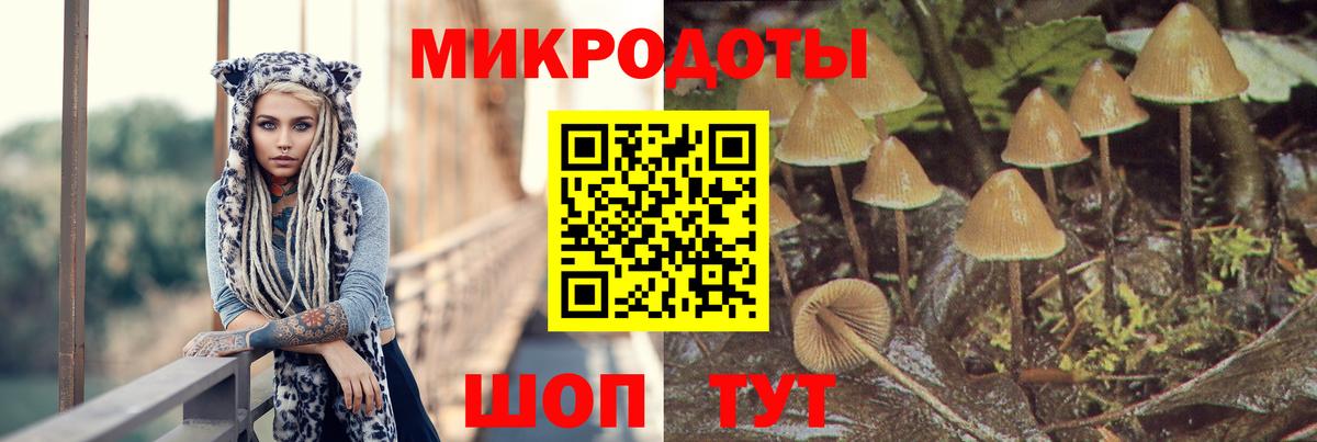 Псилоцибиновые грибы мицелий  сколько стоит  Псилоцибиновые грибы мицелий  Озёрск  Вход с VPN 